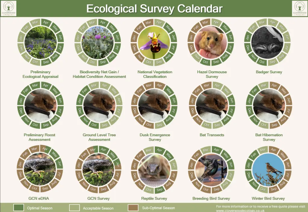cloverwood ecology ecological survey calendar