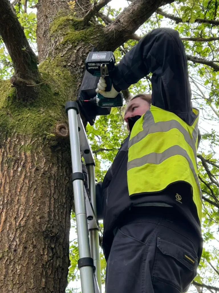 martin roche bat box