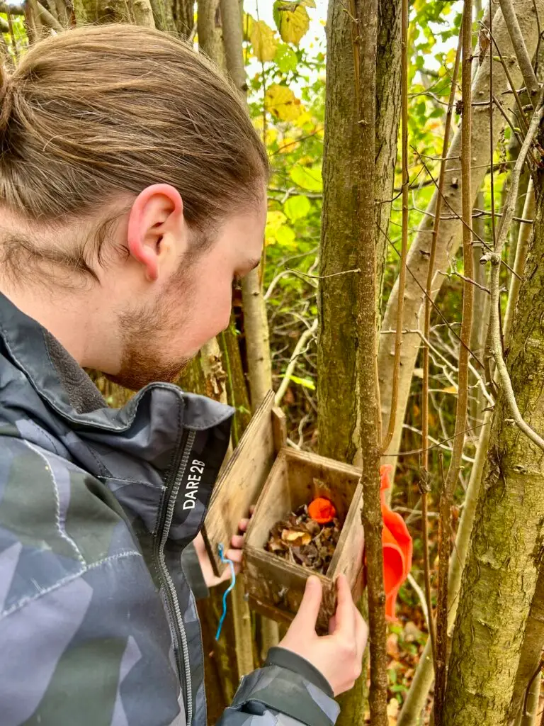 martin roche nest box